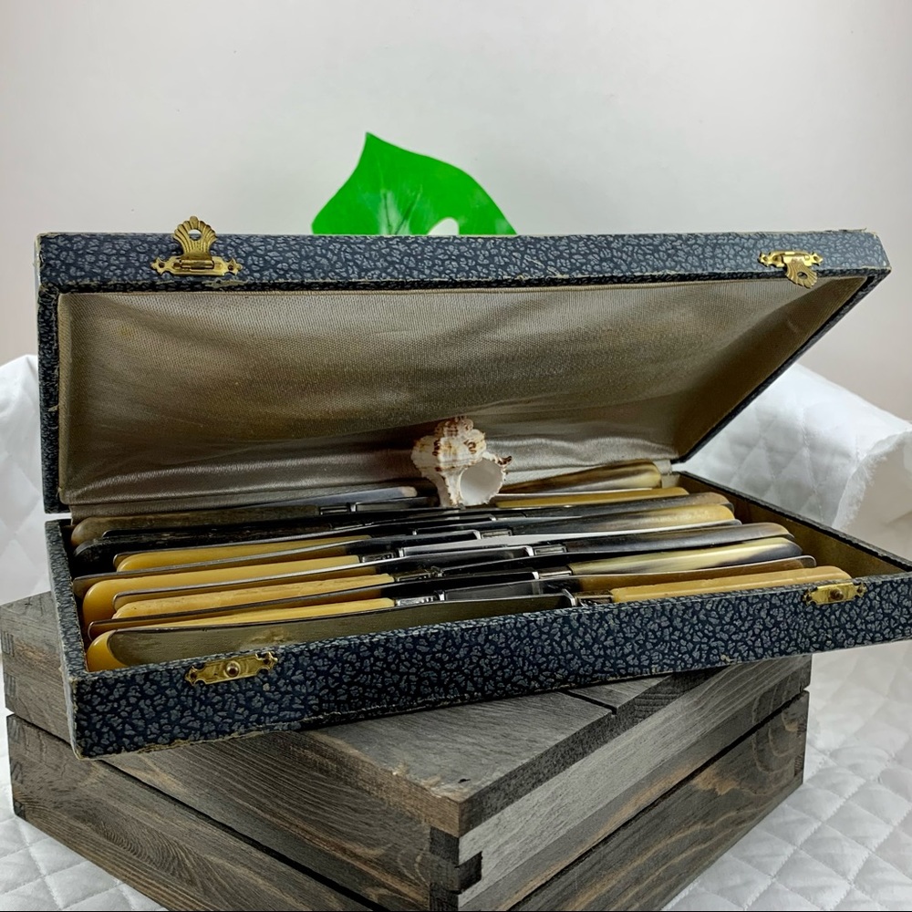 VINTAGE BUTTERKNIFE SET W/CASE BONE LIKE HANDLES - Picture 5 of 11